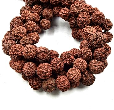 12mm Natural Rudraksha Seed Beads with 1mm Holes - Sold by the Strand - 108 Beads per Strand
