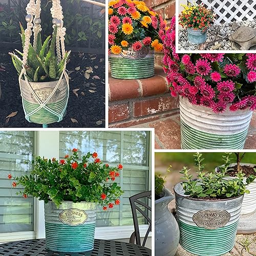 Miniatura 5 de allgala Maceta galvanizada para decoración interior y exterior-6 "-HD60074