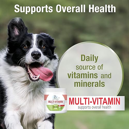 Miniatura 4 de Four Paws Healthy Promise Dog Multivitamínico Masticable Suave 120 unidades