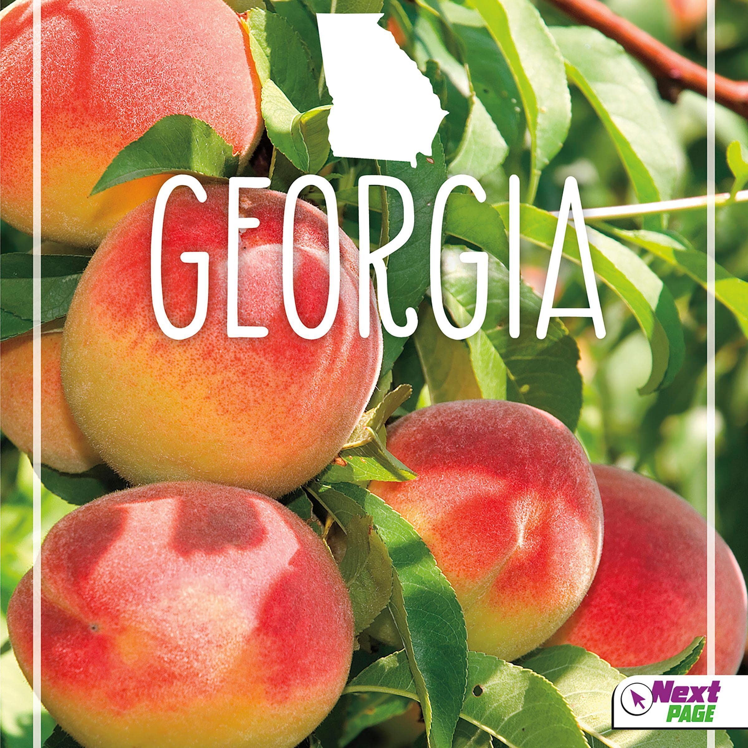Cover art for Georgia