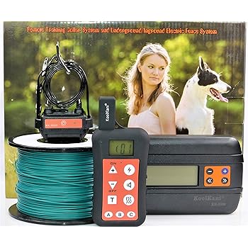 chihuahua puppies online