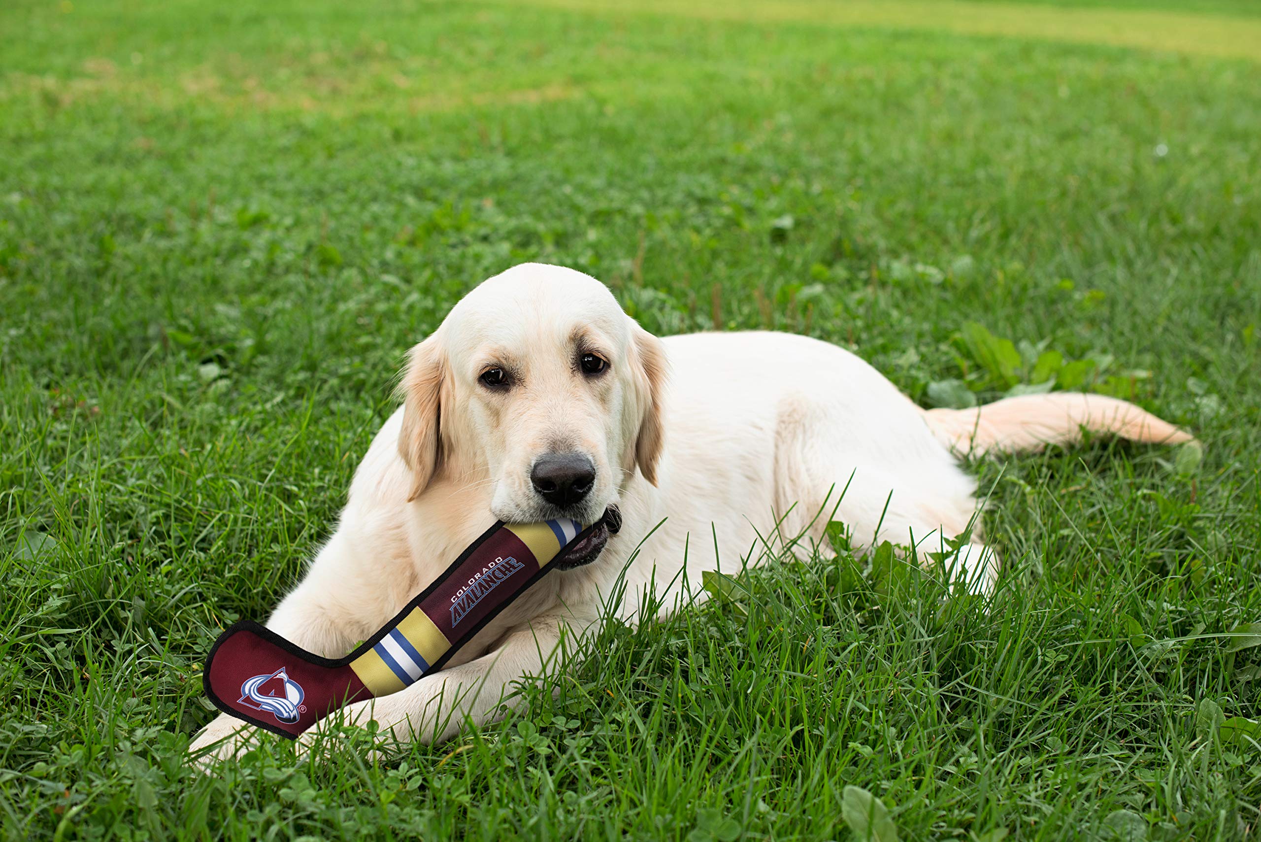 Pets First Colorado Avalanche Hockey Puck Dog Toy