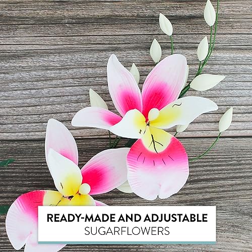 Vista 39 de Global Sugar Art Cattleya Orchid Sugar Cake Flowers - Aerosol arqueado, blanco, 1 unidad por el chef Alan Tetreault Cattleya - Spray de orquídea