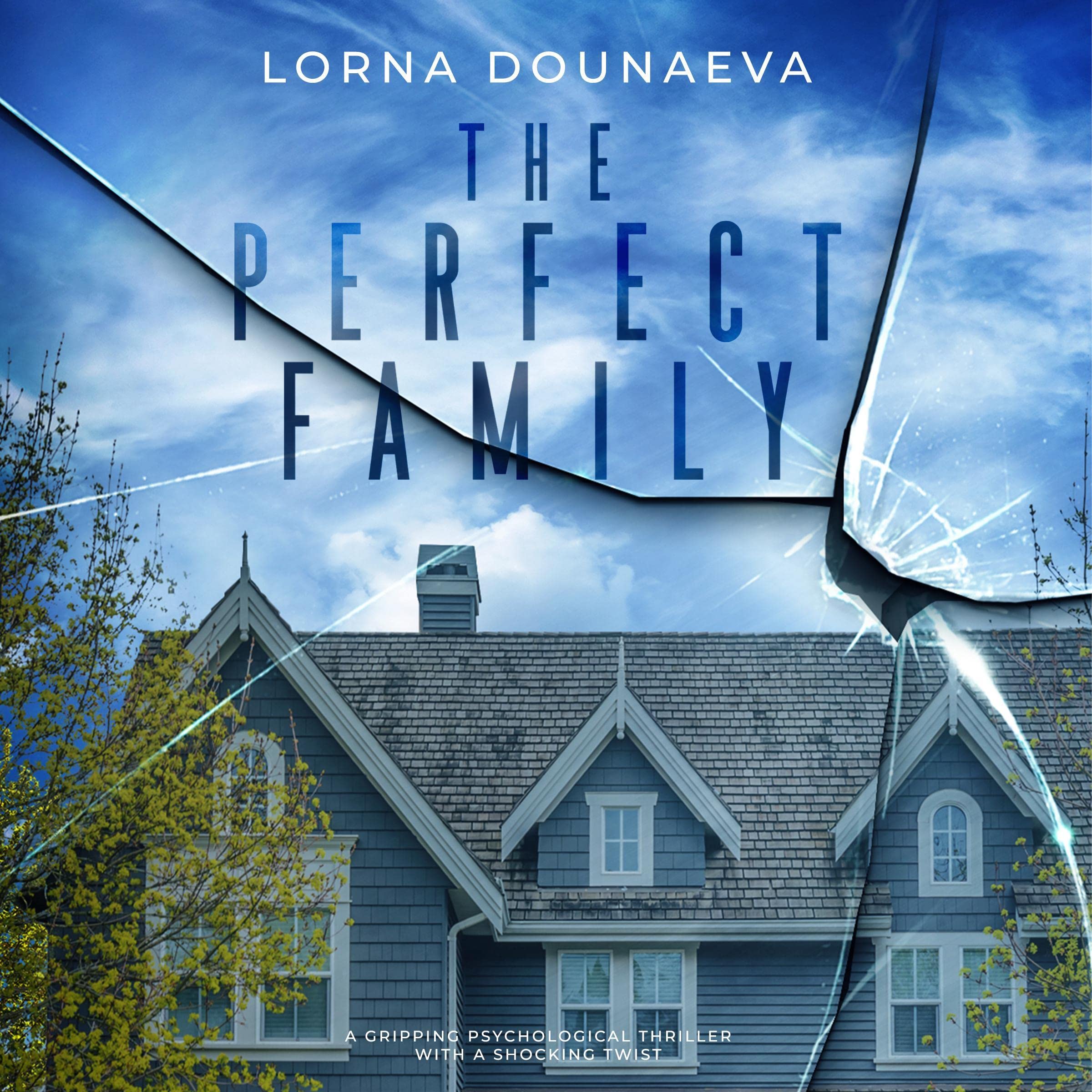 Cover art for The Perfect Family