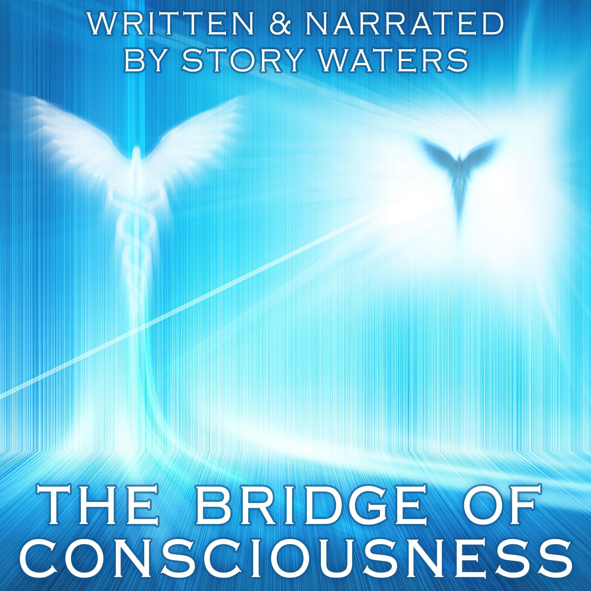 The Bridge of Consciousness
