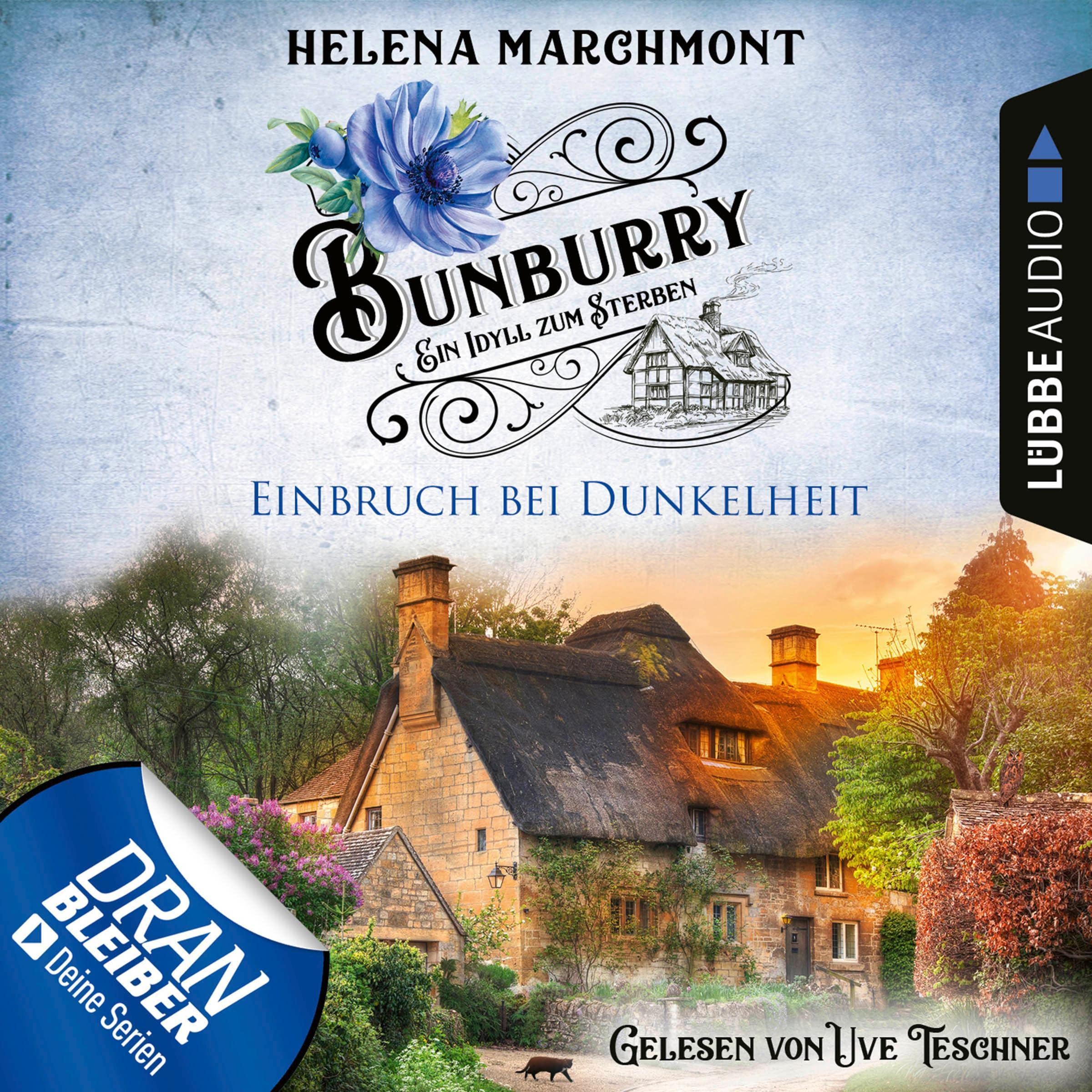 Cover art for Einbruch bei Dunkelheit
