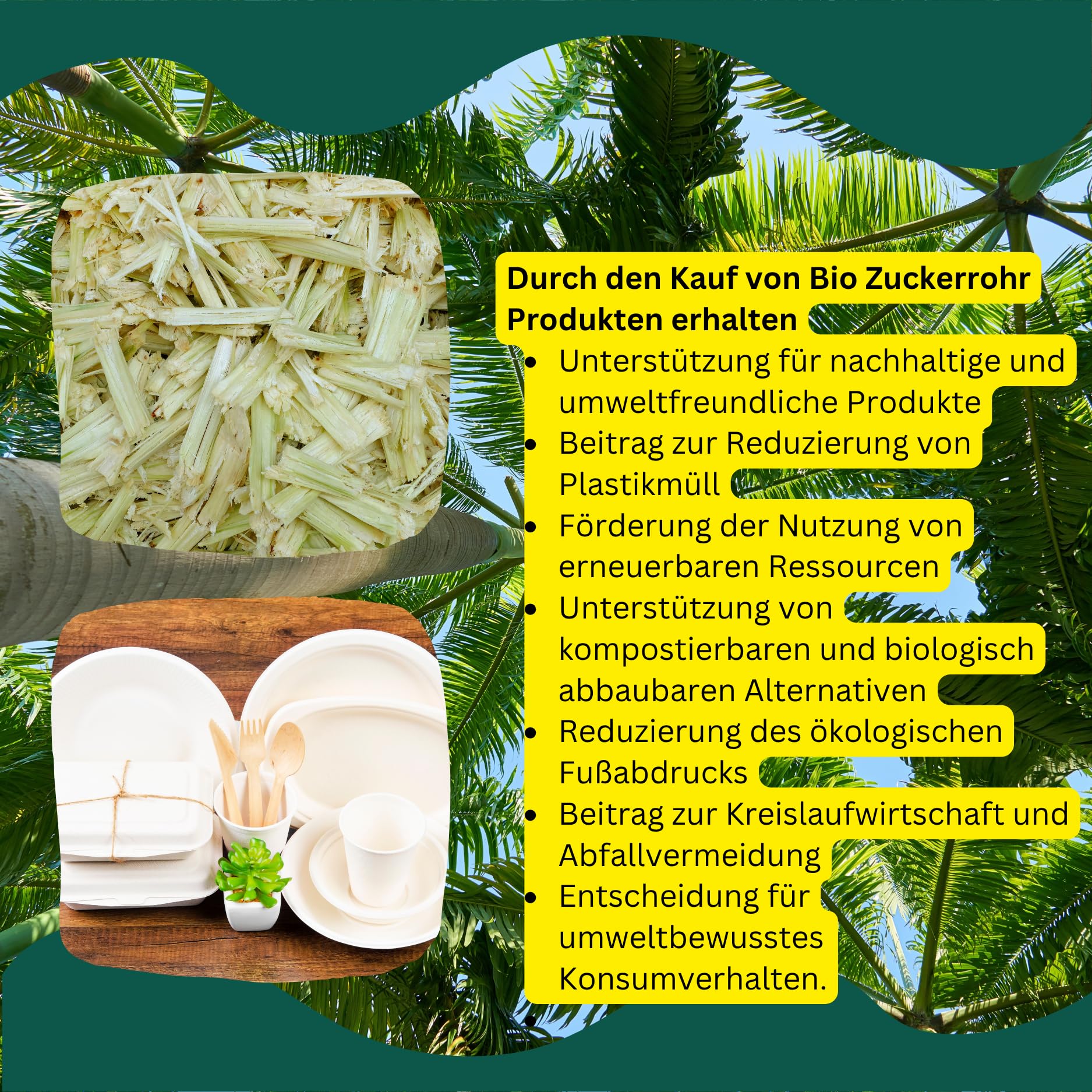 300 stück 1L Bagasse Eckig Schalen mit Deckel Biologisch abbaubare To-Go Boxen – Auslaufsicher & Mikrowellengeeignet – Einwegverpackung für Catering, Takeaway & Foodtruck