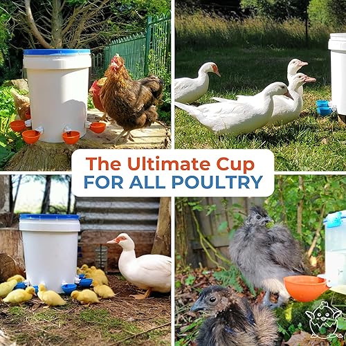 Miniatura 6 de Lil Clucker - Vasos de agua automáticos grandes azules adecuados para patos, gansos, pavos y conejos, kit de alimentador de agua, bebedero para aves
