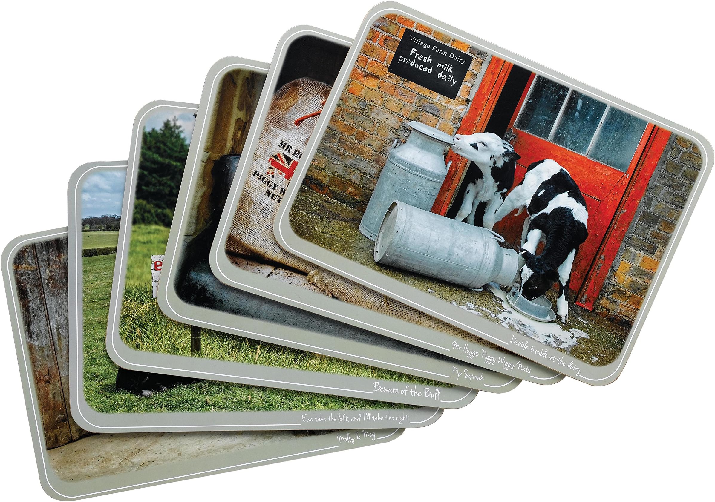 Kitchy Co Placemats Set of 6, Ply, Multi-Colour, 0.5 x 29 x 21 cm