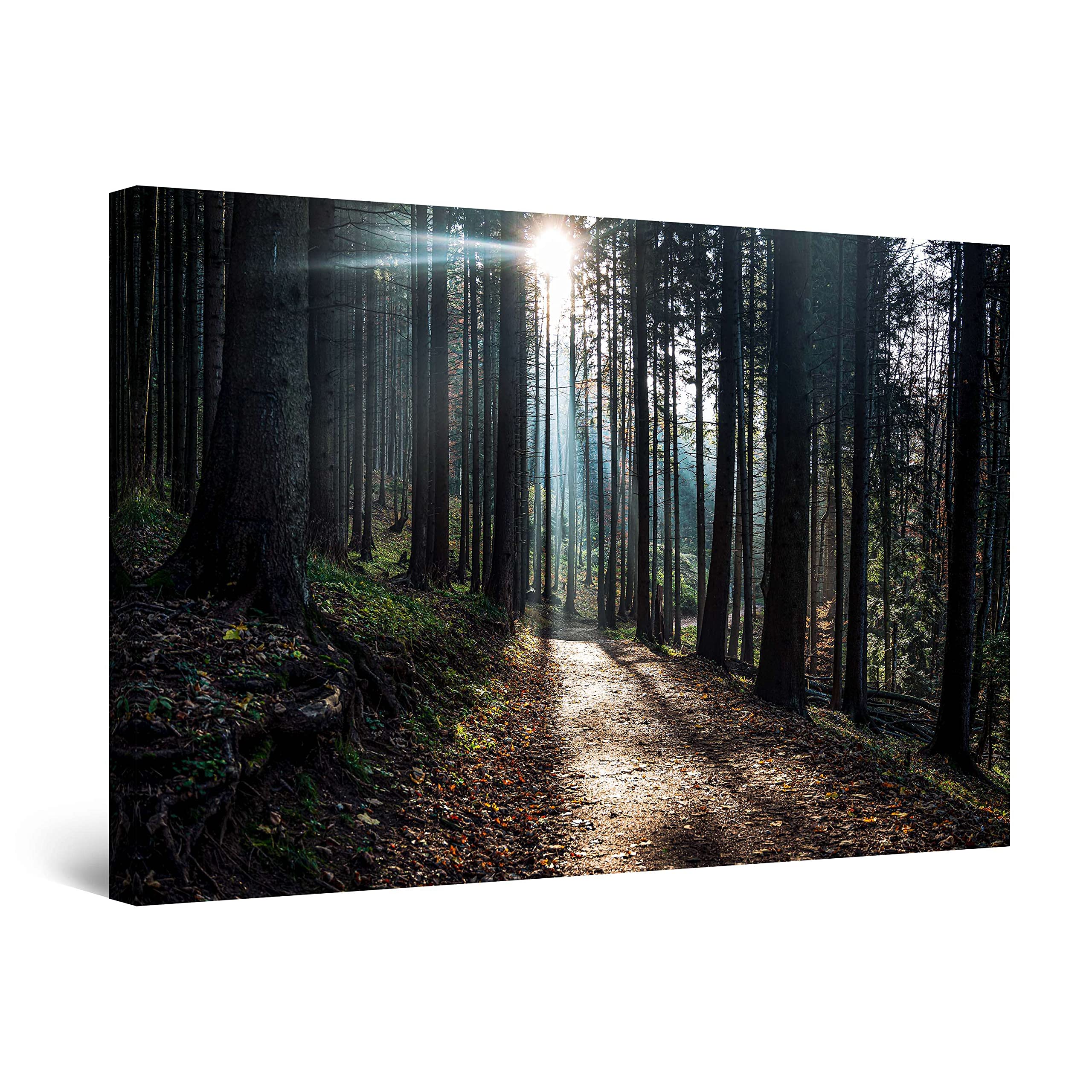 Startonight Canvas Wall Art Abstract Path through the Forest Stretched Print, Modern for Bedroom or Living Room, Unique Luminous Artwork 80 cm x 120 cm Day & Night Effect