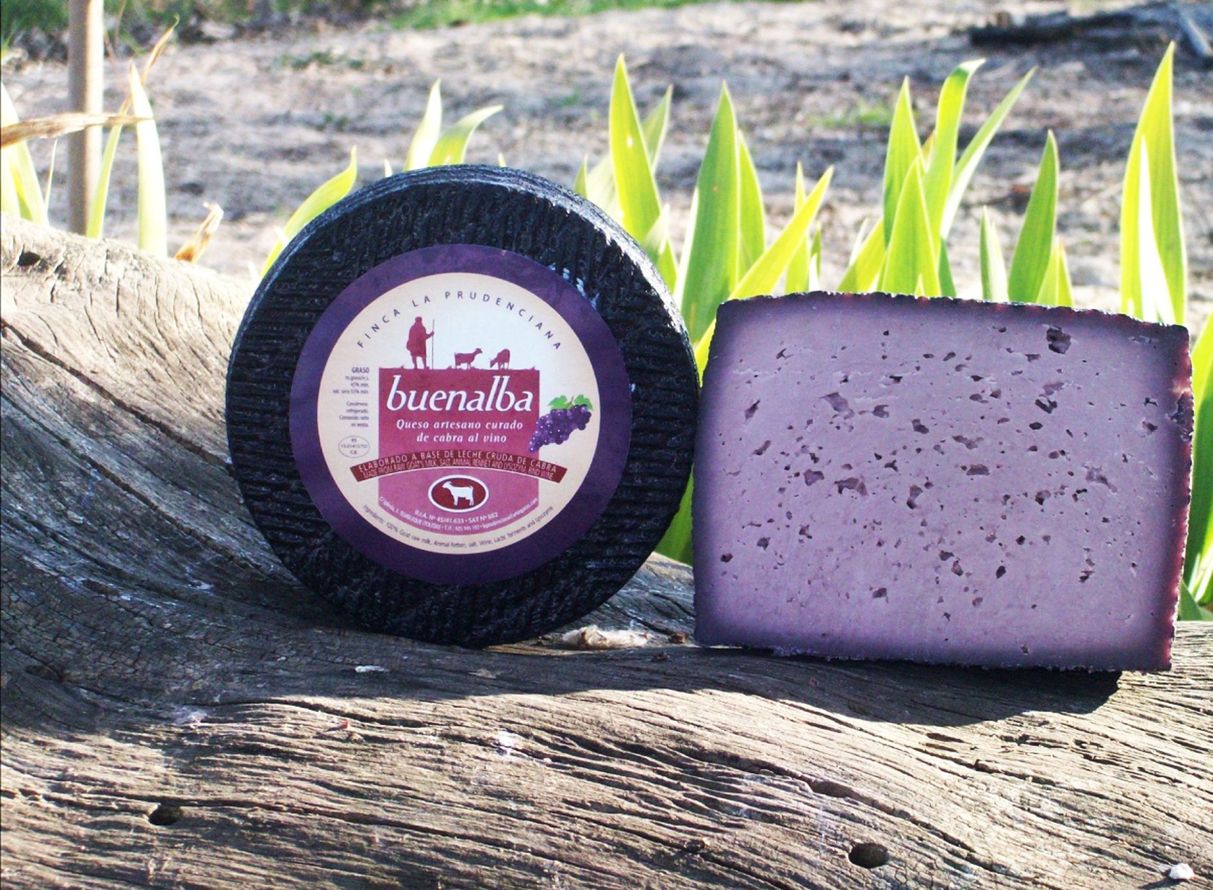 QUESO ARTESANO DE CABRA Y OVEJA CON VINO. QUESO MORADO (GRANDE 3KG)