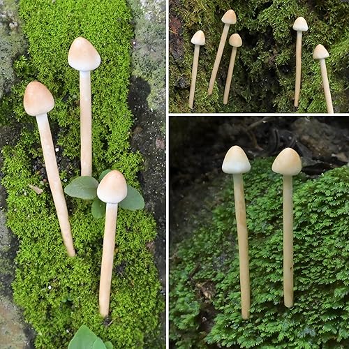 Miniatura 6 de Paquete de 8 hongos de arcilla hechos a mano  Mini hongos falsos para paisajes en miniatura y jardines de hadas  Adornos de escritorio y