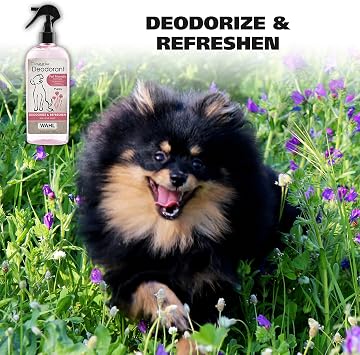 Best Pet Supplies 8 x 9 Pet Grooming Wipes for Dogs & Cats, 100 Pack, Plant-Based Deodorizer & Wahl USA Cornflower Aloe Pet Deodorant Spray for All Dogs & Cats Clean Fresh Smell Refreshes