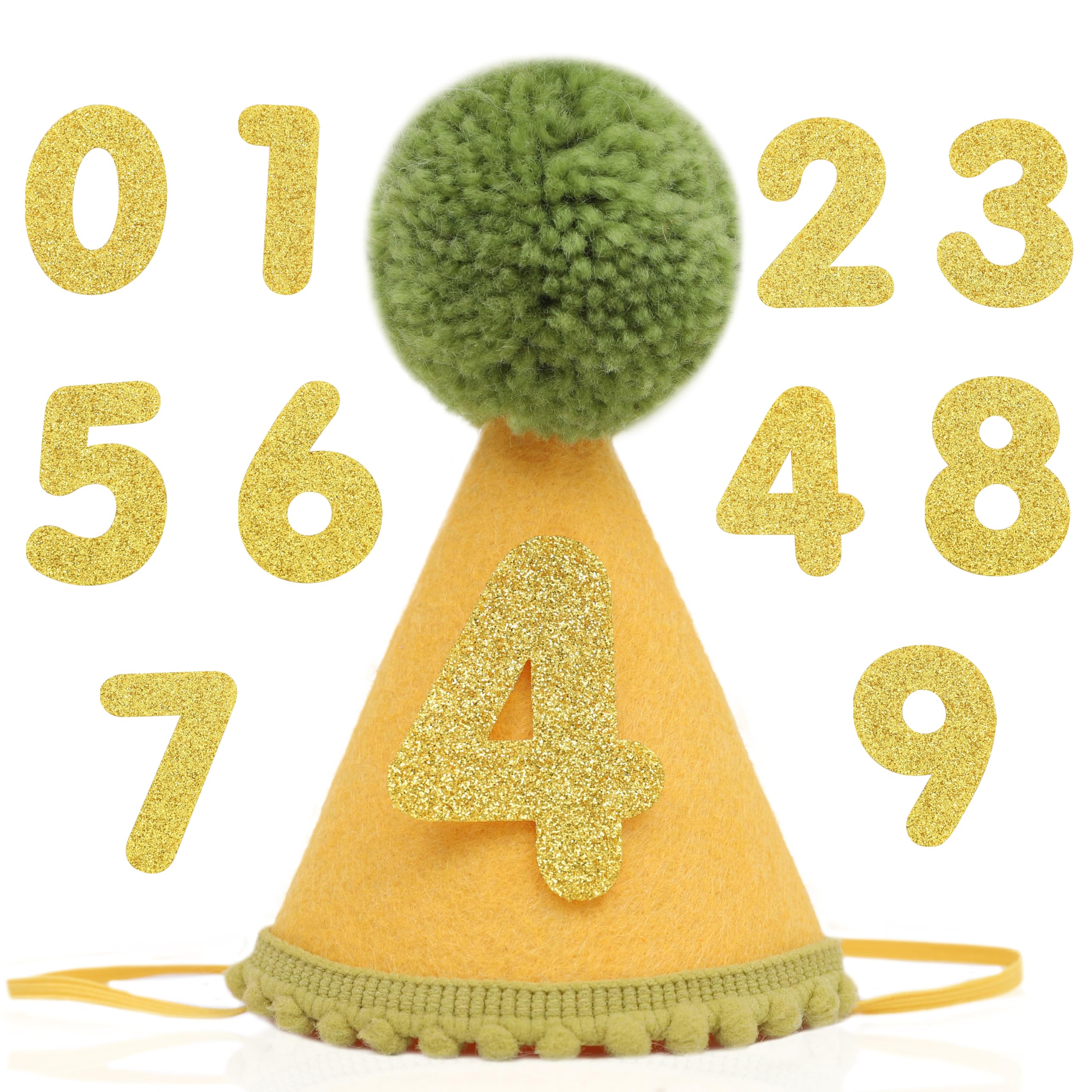 Pet Birthday Hat with Interchangeable Numbers 1-10 | Adjustable Pet Party Cone Hat for Dogs & Cats | Puppy Birthday Photo Props for 1st to 10th