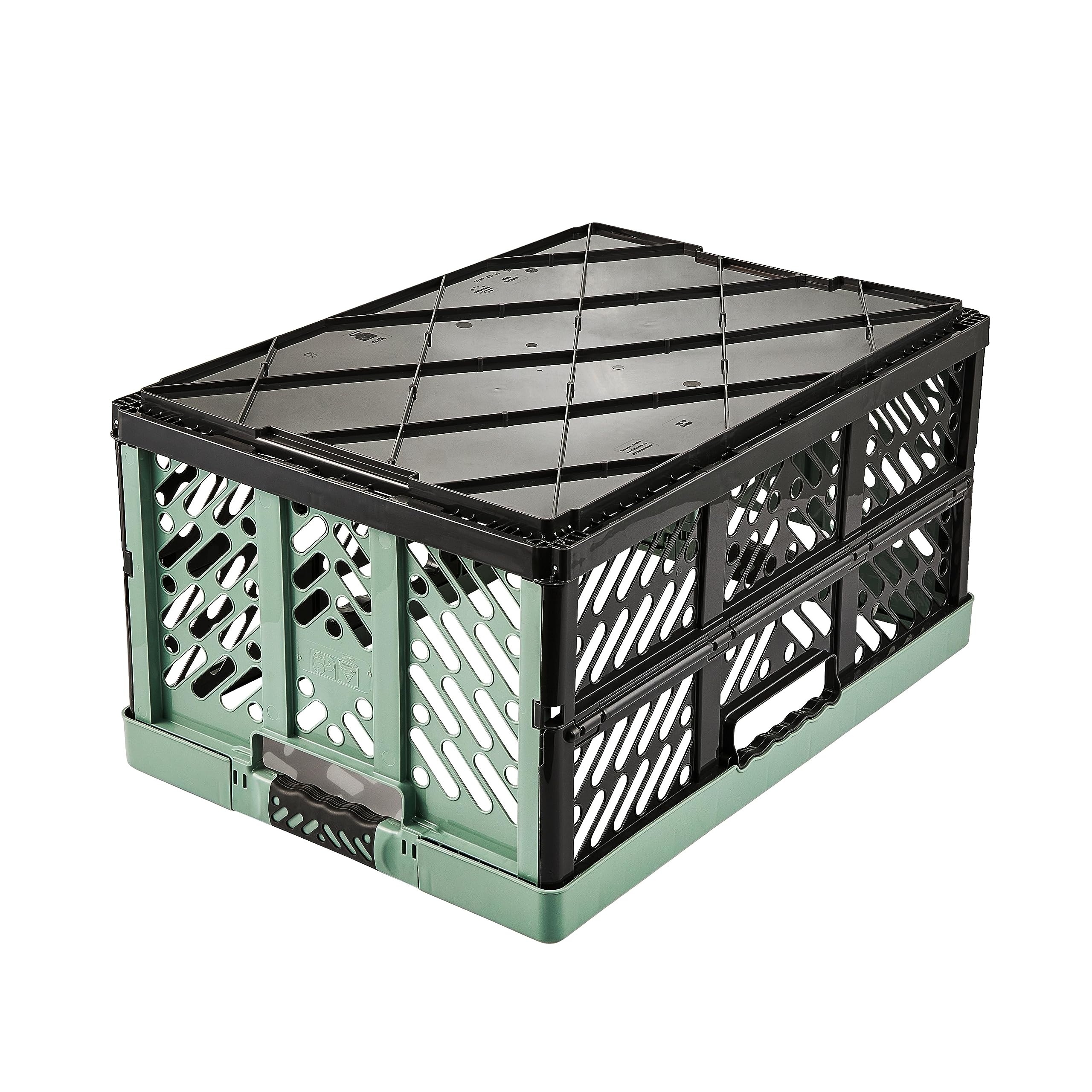 keeeper 2x Cajas plegables resistentes con asas suaves al tacto, 45 l, Ben, Verde nórdico
