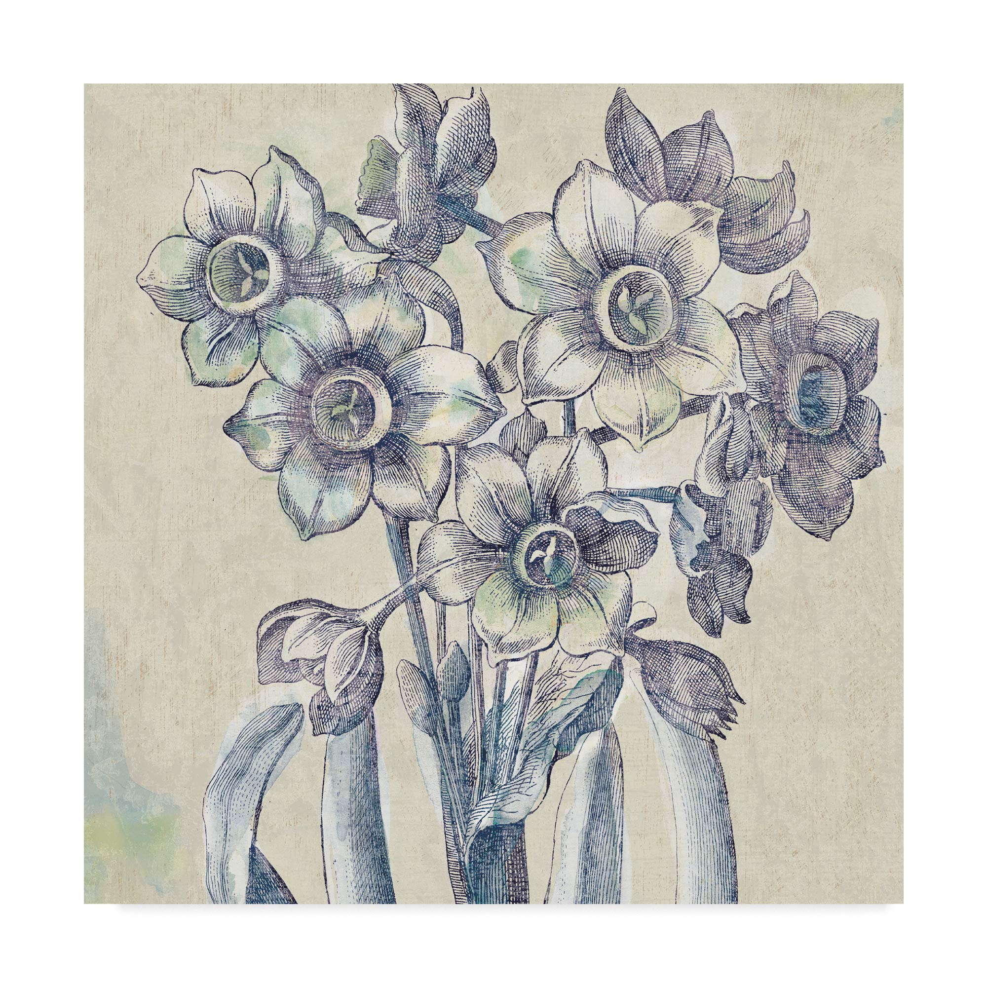 Trademark Fine Art Belle Fleur IV by Sue Schlabach, 18x18-Inch