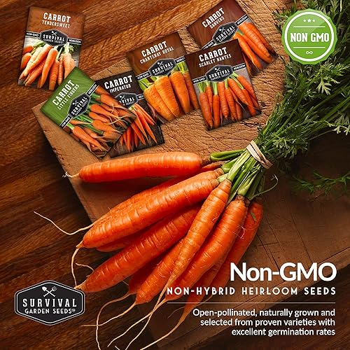 Miniatura 4 de Survival Garden Seeds Carrots Collection - Semillas de jardín de supervivencia sin OMG para plantar, variedades de zanahoria escarlata, imperador,