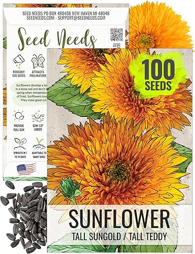 Seed Needs, Tall Teddy - Semillas de girasol  100 semillas de reliquia para plantar Helianthus annuus  Flores de doble pétalo, atrae polinizadores