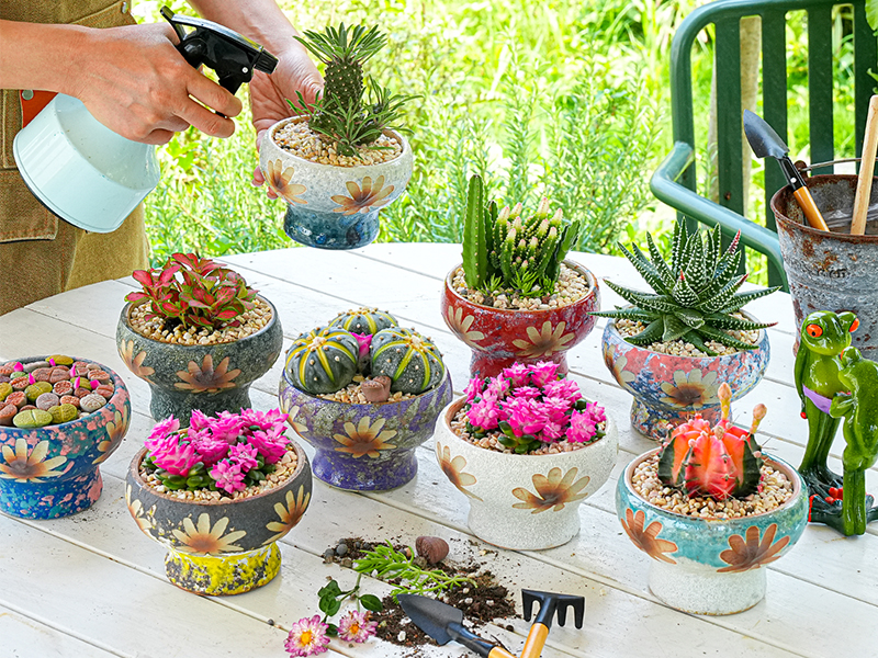 Amazon.com: Sungmor Small Succulent Planters Set of 3