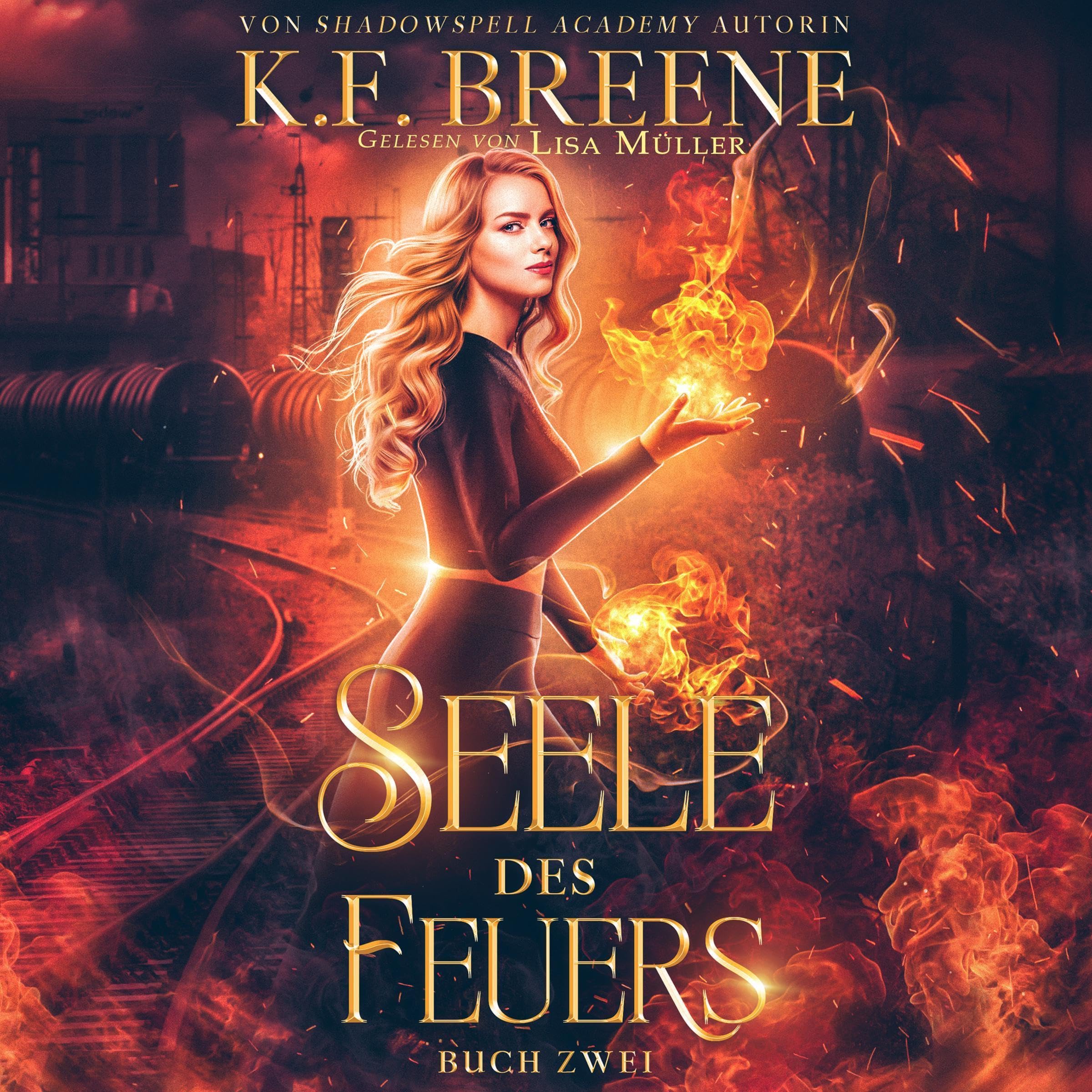 Cover art for Seele des Feuers