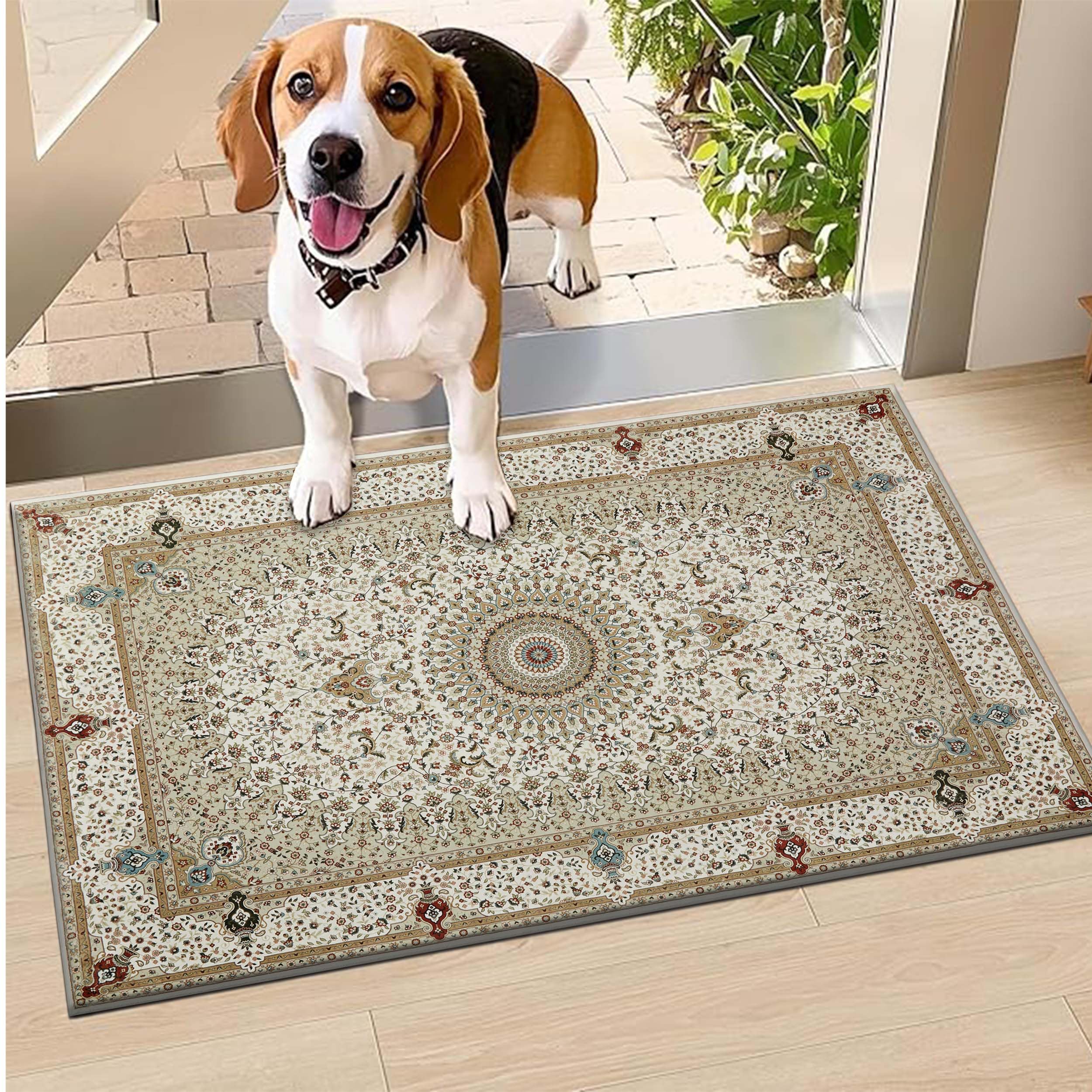 Hafaa Door mat 60x110 cm - Indoor & Outdoor Doormats Machine Washable Non Slip - Super Soft Heavy Duty Kitchen Floor Mat Dirt Trapper Entrance Mat, Willow Beige — image 1