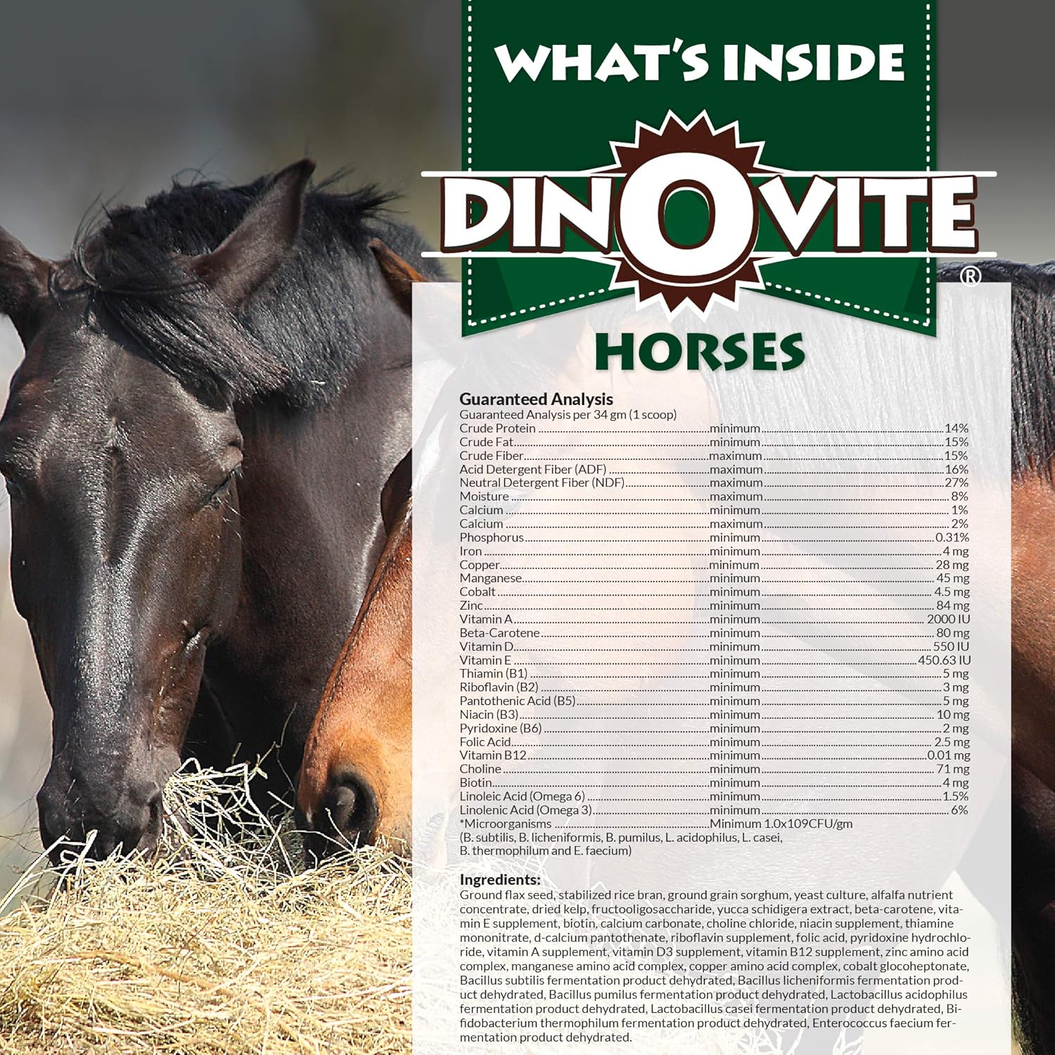 Dinovite for Horse Supplement - Immune + Digestive, Skin + Coat Support, Vitamins, Minerals, Omega 3, Enzymes, Probiotics. 30 Day Supply : Pet Supplies