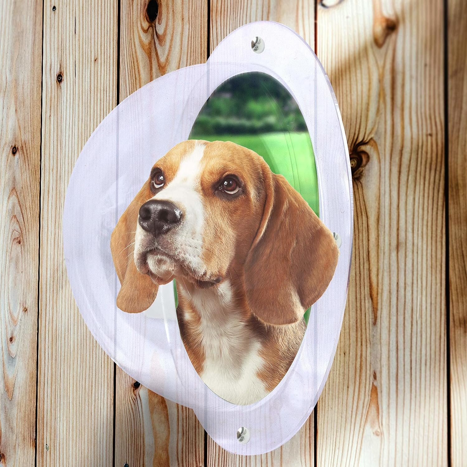 Downtown Pet Supply Dog Fence Acrylic Dome - Bubble Dome for Privacy Fence - Great for Children & Pets, Dog Kennel, Tree House or…