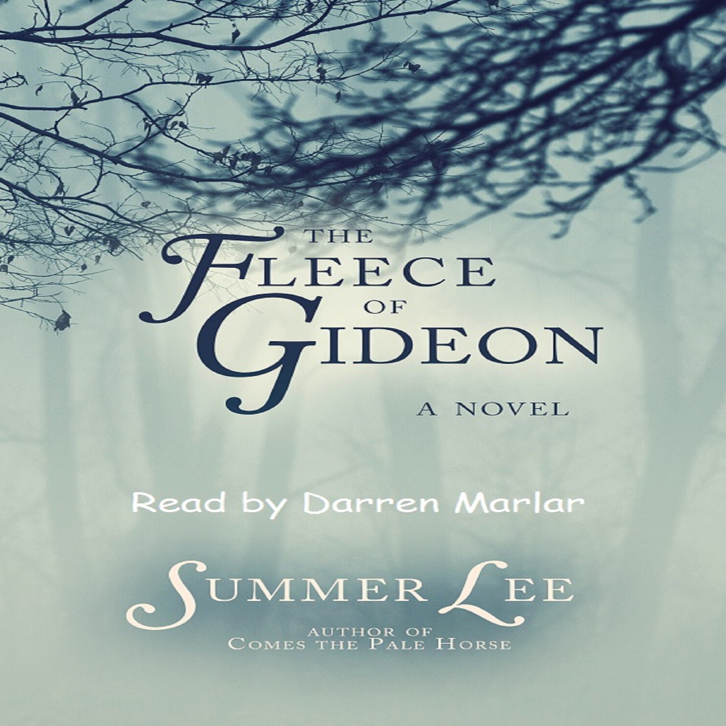 Cover art for The Fleece of Gideon