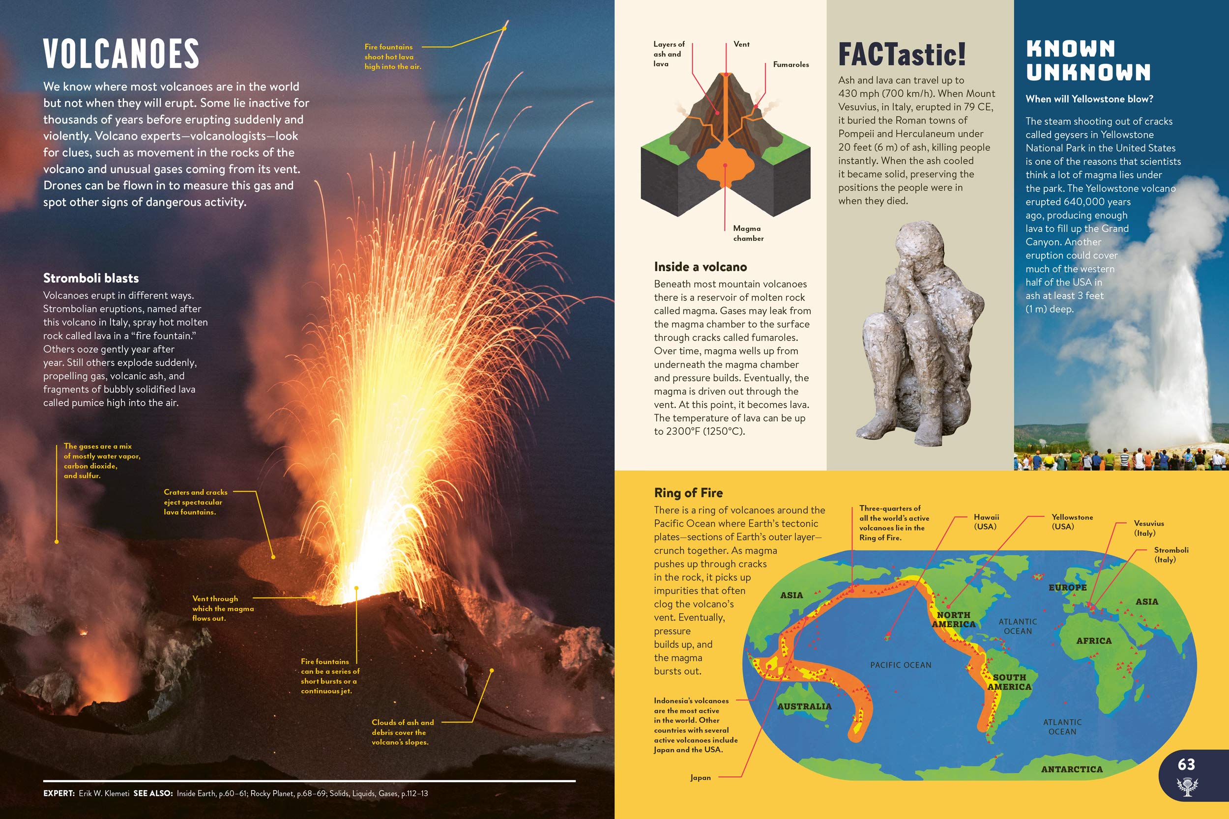 Britannica All New Children's Encyclopedia: Luxury Limited Edition: What We Know & What We Don't