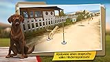 DogHotel - Meine Pension für Hunde