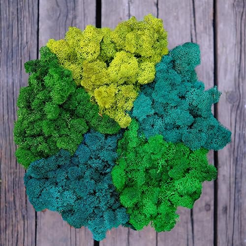 Miniatura 38 de Musgo de Reno Preservado Verde Natural Kit de Bricolaje Arte de Jardinería Decoración de Pared Decoración de Floristería Decoración de Mesa