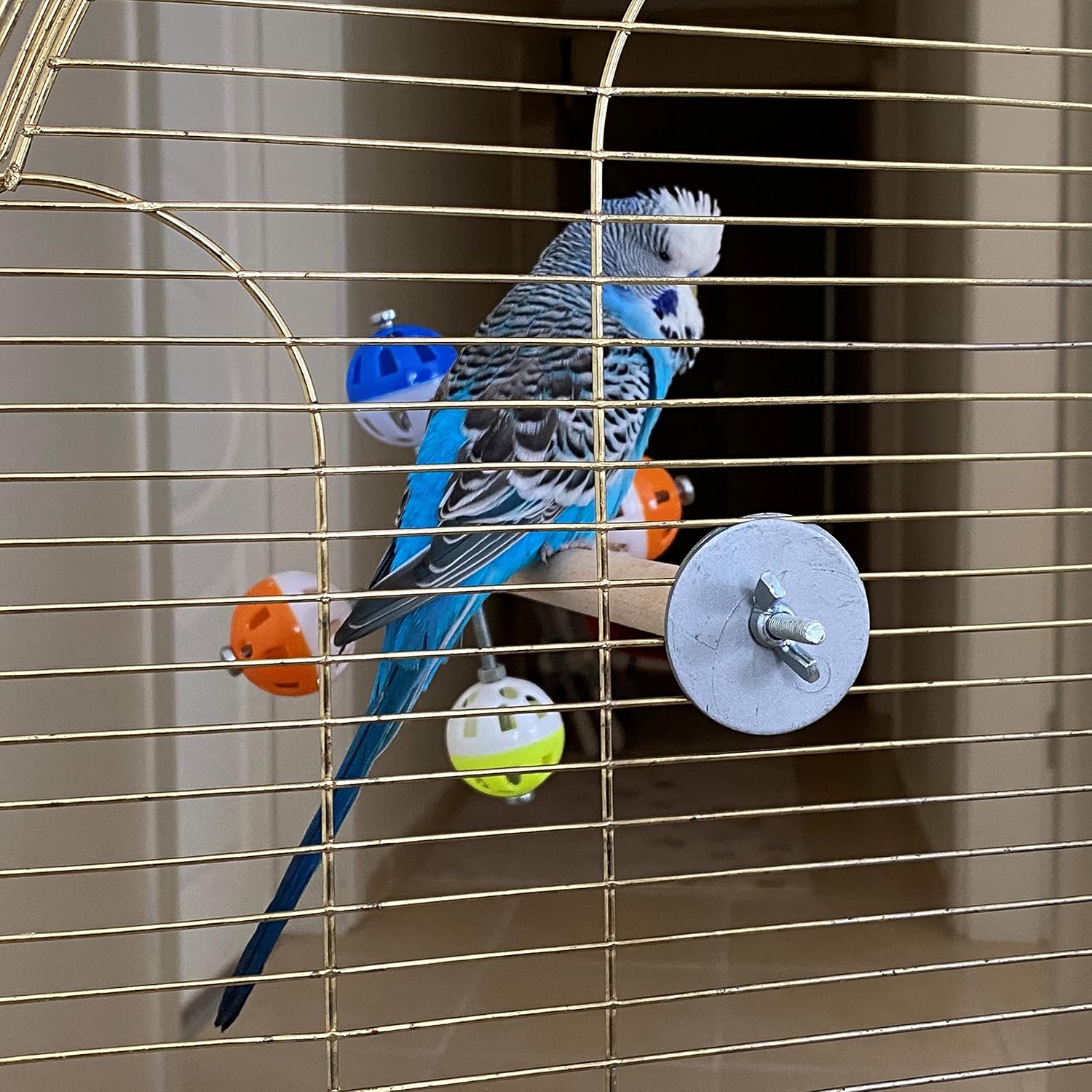 PERSONALIZED Perch Toy with Rotating Balls for Birds, Budgies, Budgerigars, Parakeets, Parrots, Cockatiels, Parrotlets, Lovebirds, Ringnecks, Conures