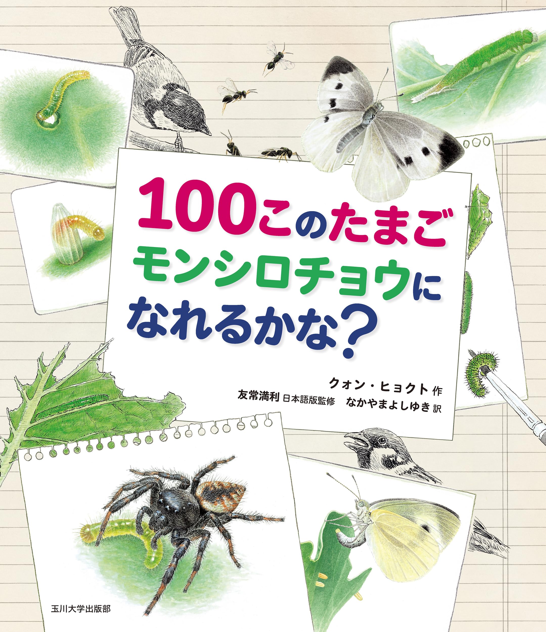 Amazon.co.jp: 100このたまご モンシロチョウになれるかな? : クォン