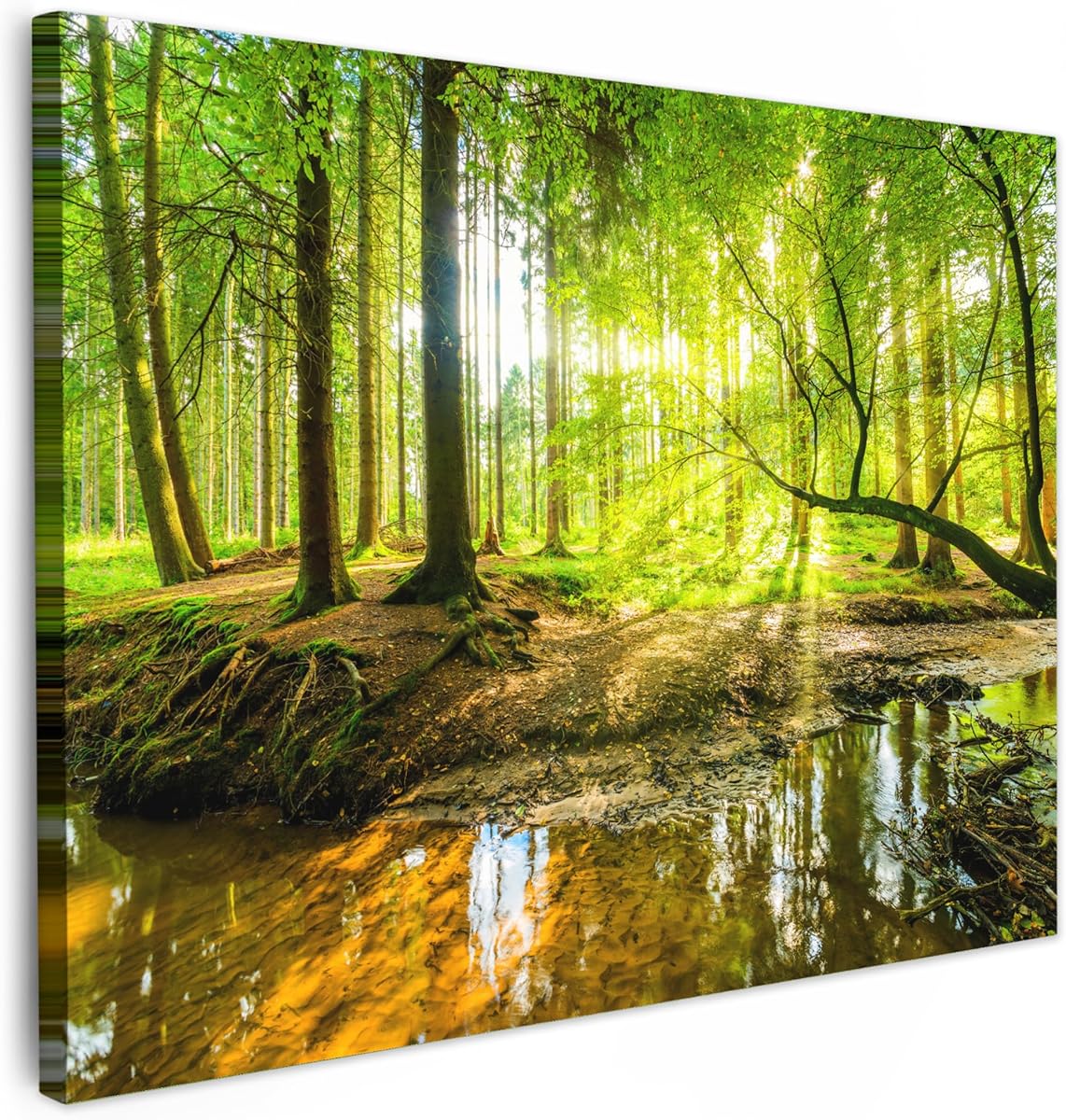 MuchoWow© Leinwandbild 80x60 cm Dekoration Wohnzimmer Bilder Aufhängen Wall Decoration Living Room Wohnungs Deko Moderne Wandbilder Bild Wald - Landschaft - Wasser - Bäume - Grün - Natur