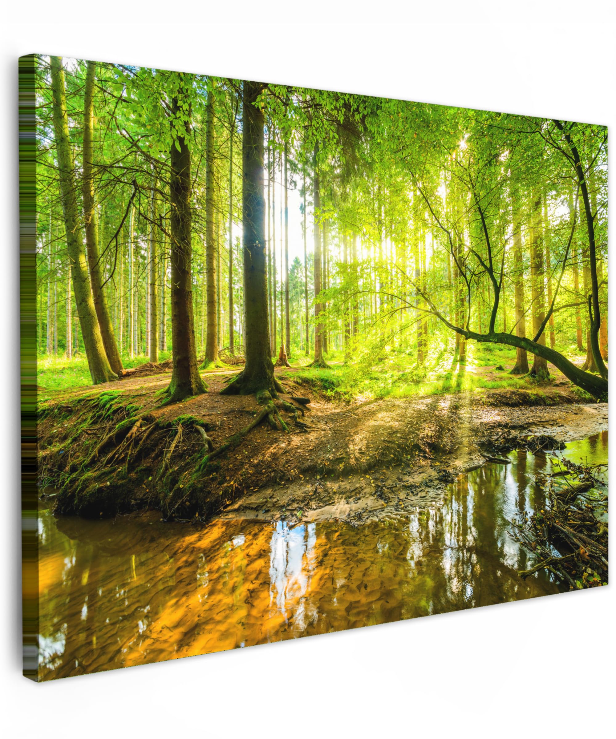 MuchoWow© Leinwandbild 70x50 cm Dekoration Wohnzimmer Bilder Aufhängen Wall Decoration Living Room Wohnungs Deko Moderne Wandbilder Bild Wald - Landschaft - Wasser - Bäume - Grün - Natur