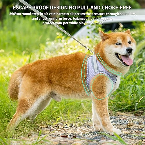 Miniatura 4 de AIITLE Juego de arnés y correa para perro, arnés para cachorro sin tirones con malla súper transpirable, arnés reflectante ajustable para mascotas