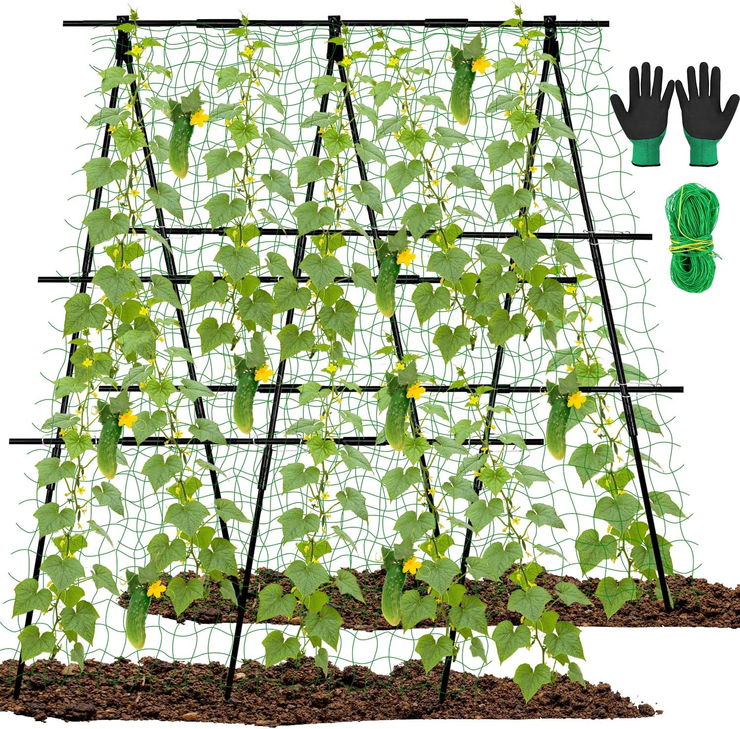 Amazon.com : 48 x 48 Inch Garden Cucumber Trellis Vegetable Arch ...