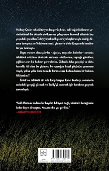 Saklı Resimler