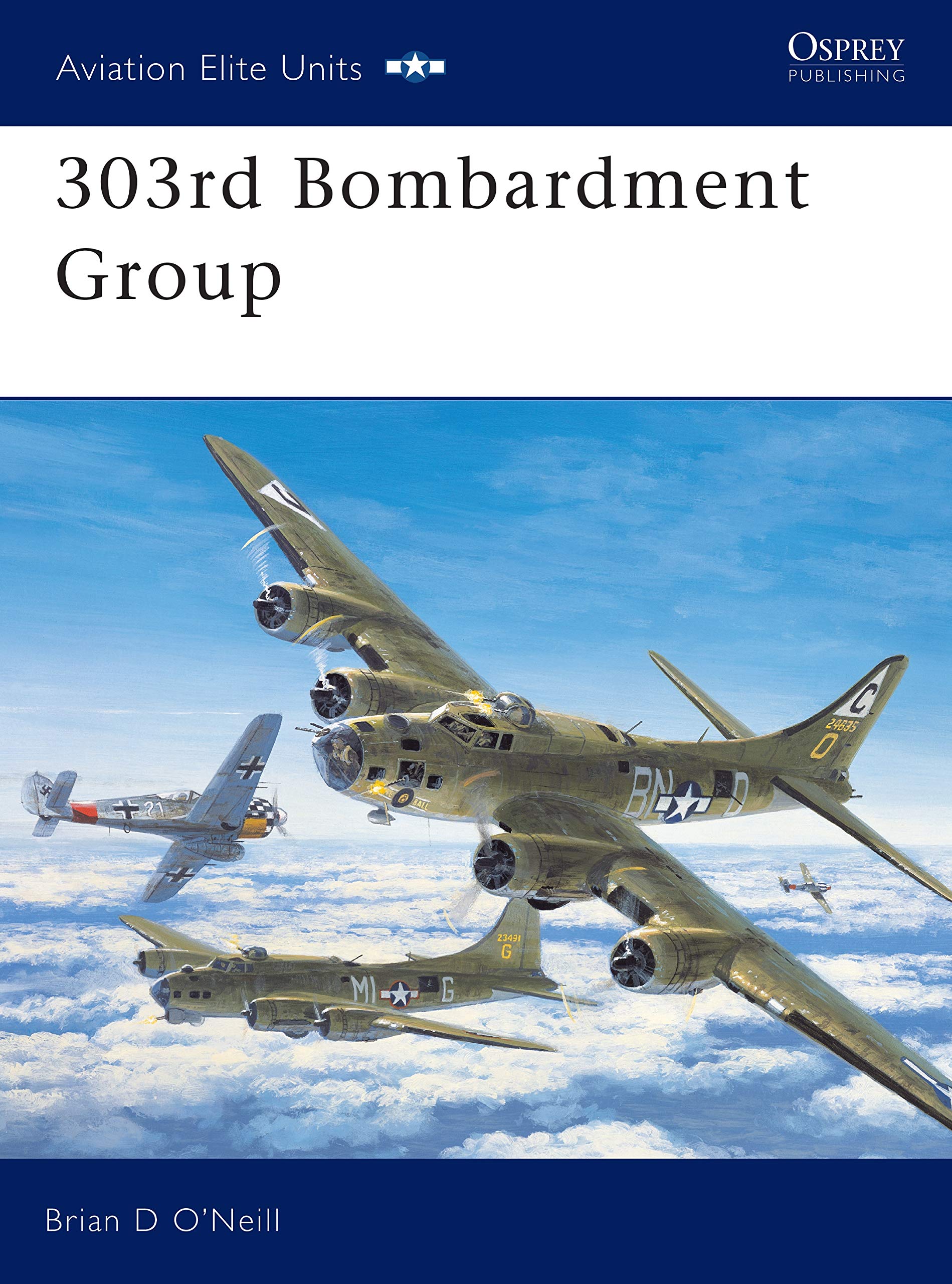 303rd Bombardment Group (Aviation Elite Units Book 11)