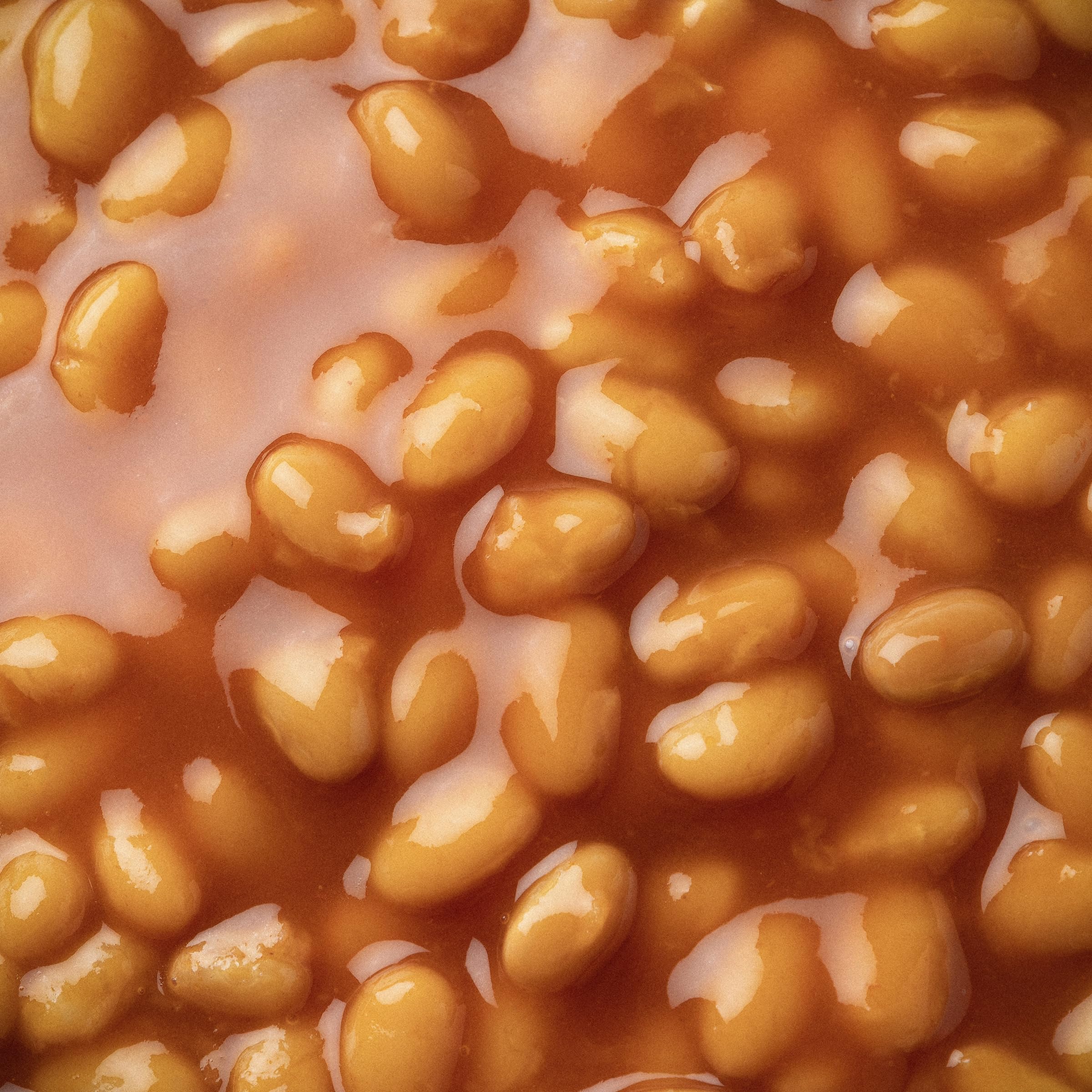 Fagioli alla Bud Spencer – In Salsa Barbecue (Vassoio da 12 Lattine da 400g)