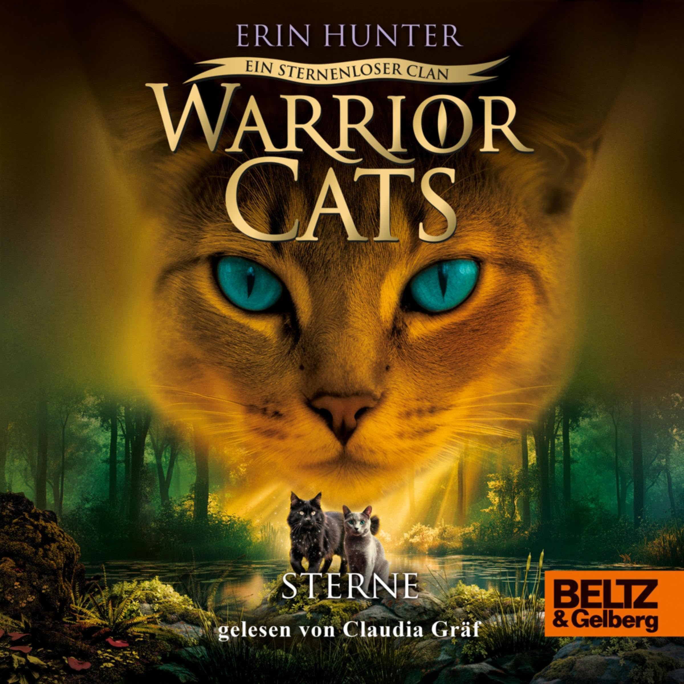 Cover art for Ein sternenloser Clan. Sterne