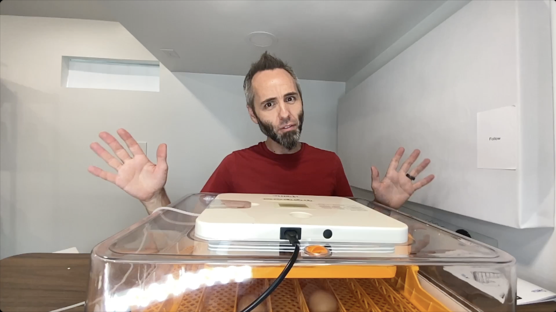 BEST Automatic Egg Incubator? | iPettie Nestasy ProHatch56