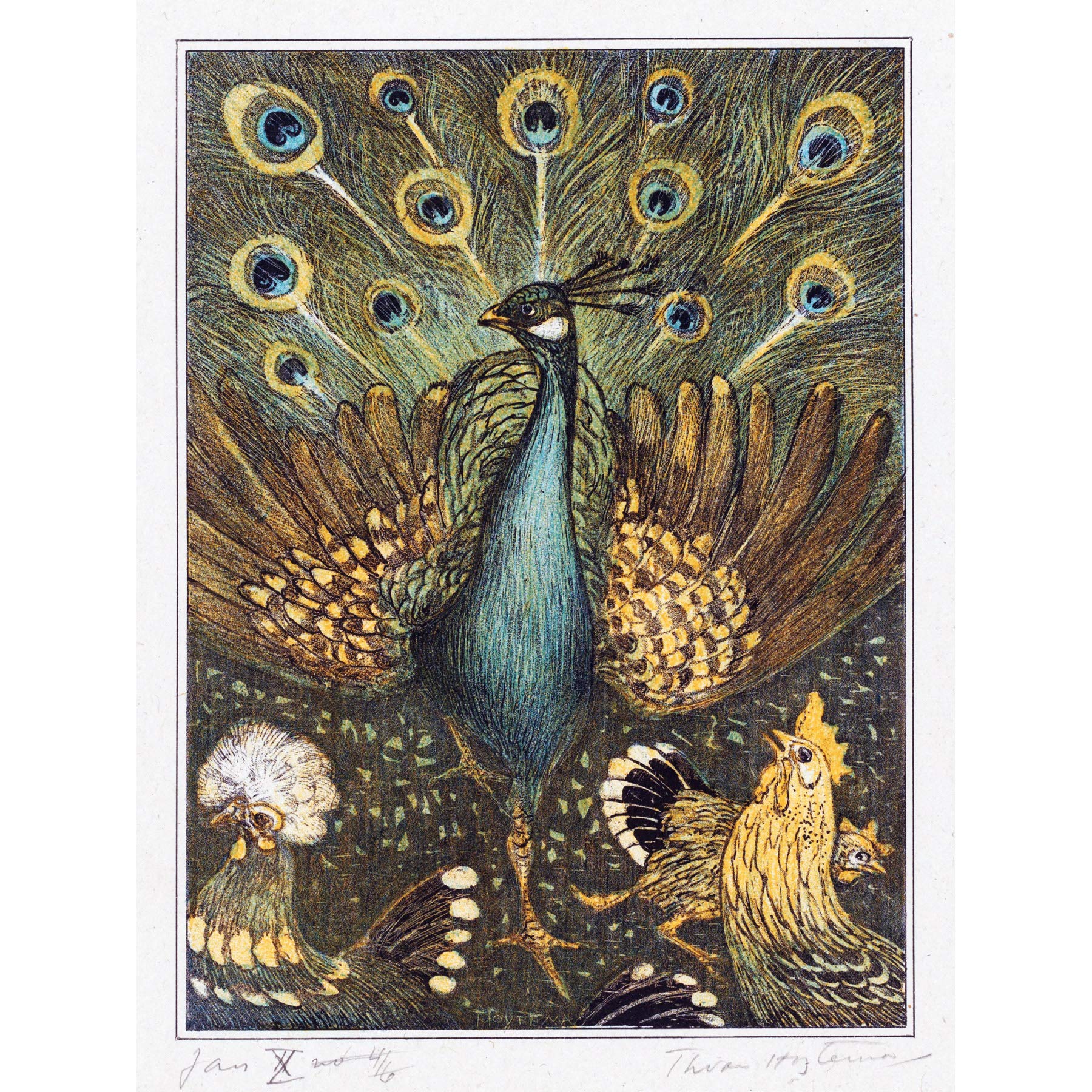 Artery8 Hoytema Peacock Chickens Birds Drawing Premium Wall Art Canvas Print 18X24 Inch