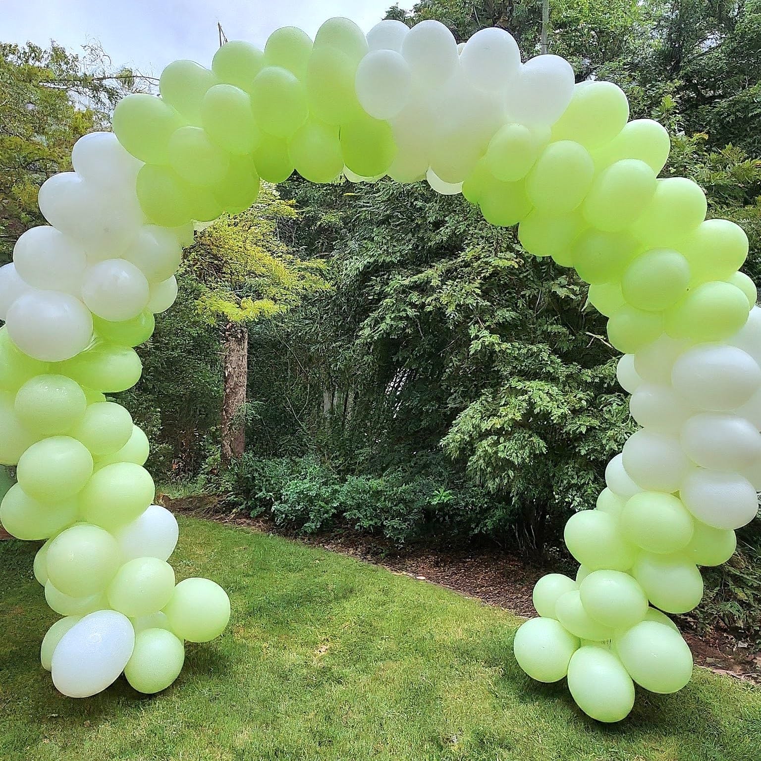 AMFIN (Pack of 100) Pastel Birthday Decoration Item Balloons - Green & White 3
