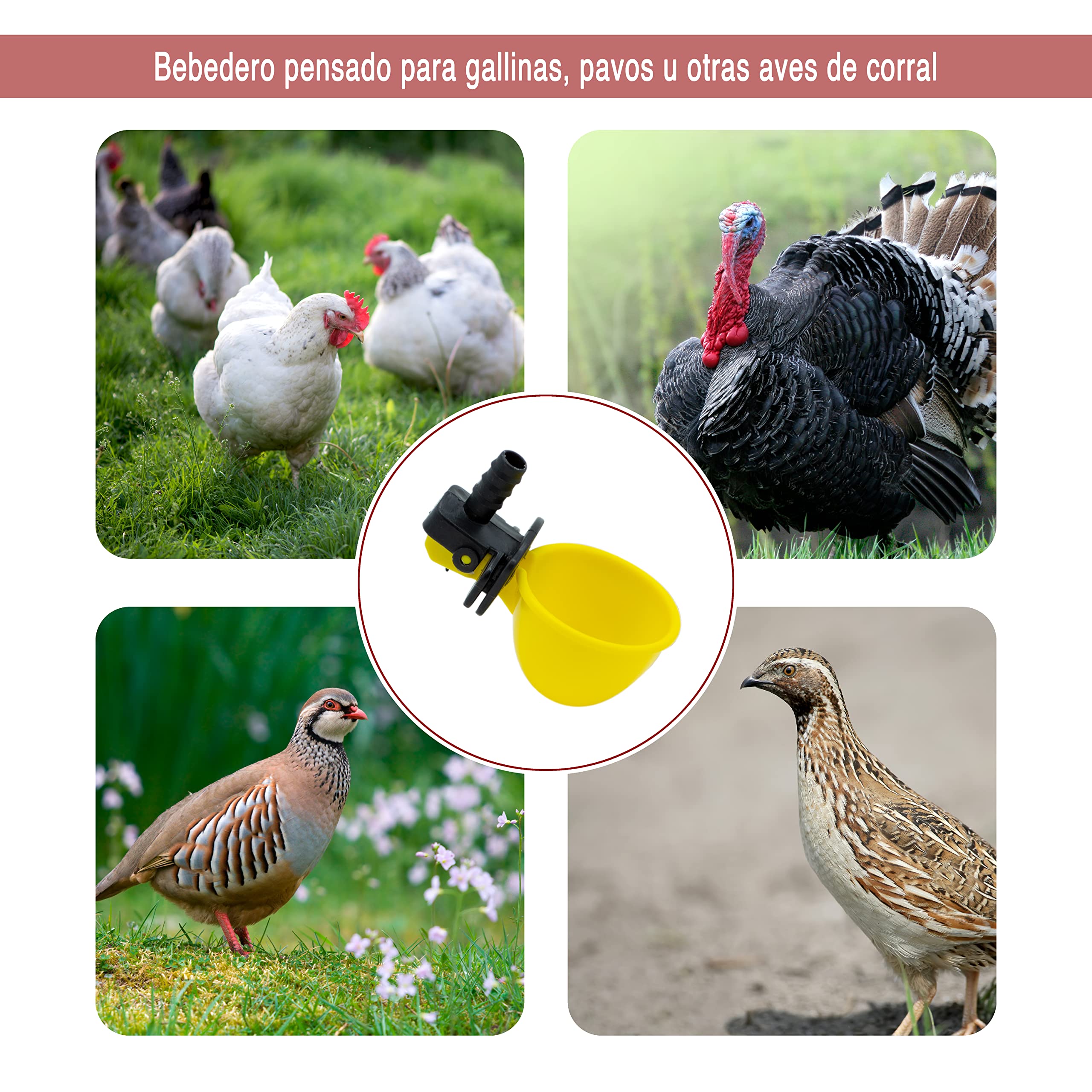 Bebederos Basculantes Tamaño Pequeño - Pack de 6 Bebederos Automáticos para Aves de Corral Otros Animales - Agua Siempre Limpia para Tus Mascotas