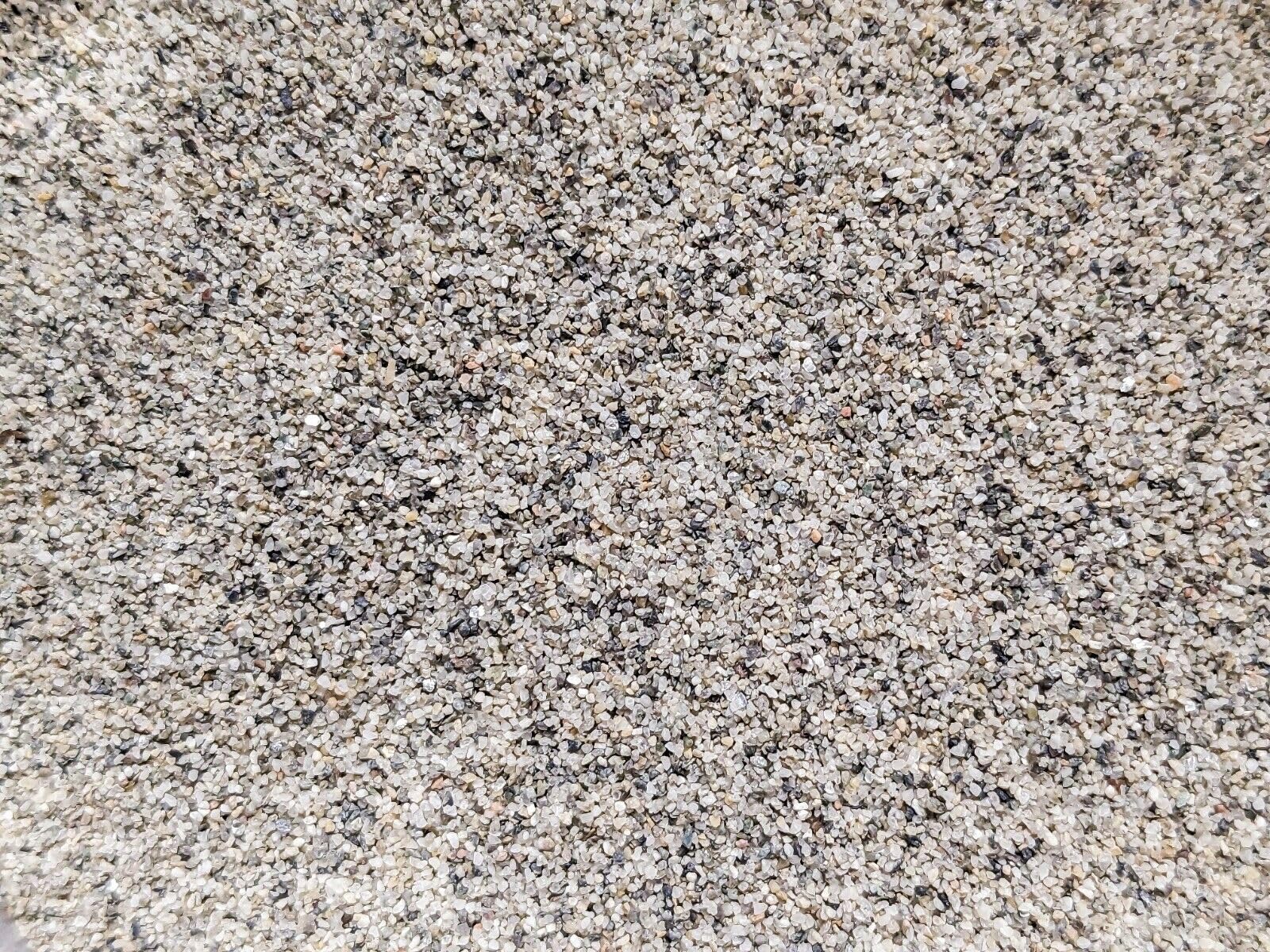 Forest Aquatics Decorative Aquarium Sahara Sand (5kg)