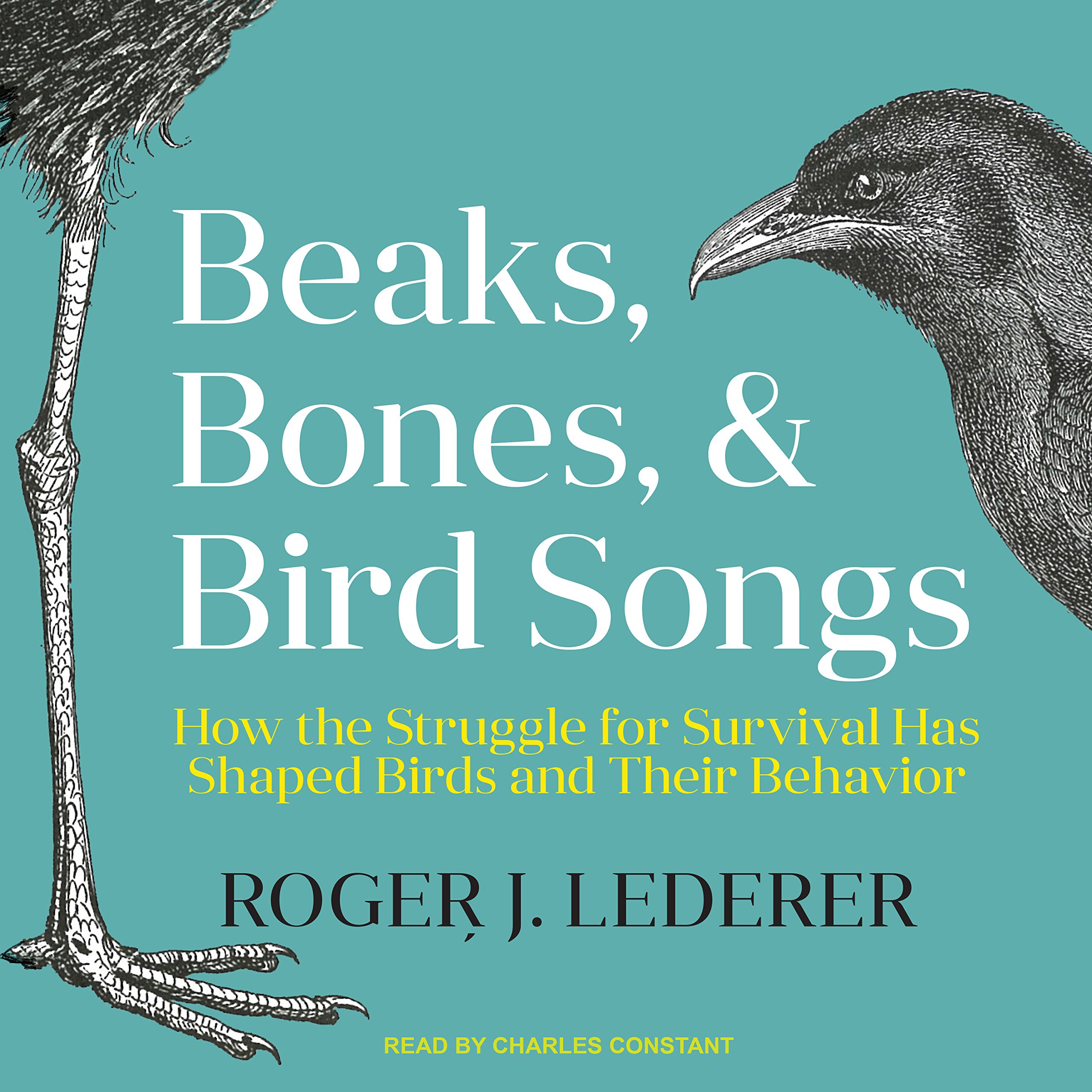 Cover art for Beaks, Bones and Bird Songs