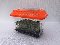 Vista 5 de Roly Poly Farm VivariumTerrarium de Pocket Pets (colores surtidos) (pequeño con capacidad para hasta 250 roles)