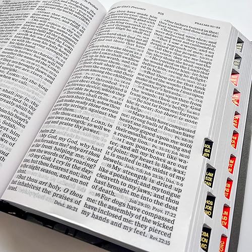 Miniatura 8 de Personalized Large Print KJV Reference Bible, Crown of Thorns Design, Gray Personal Size, Option to Customize with Hand Lettered Name on Cover