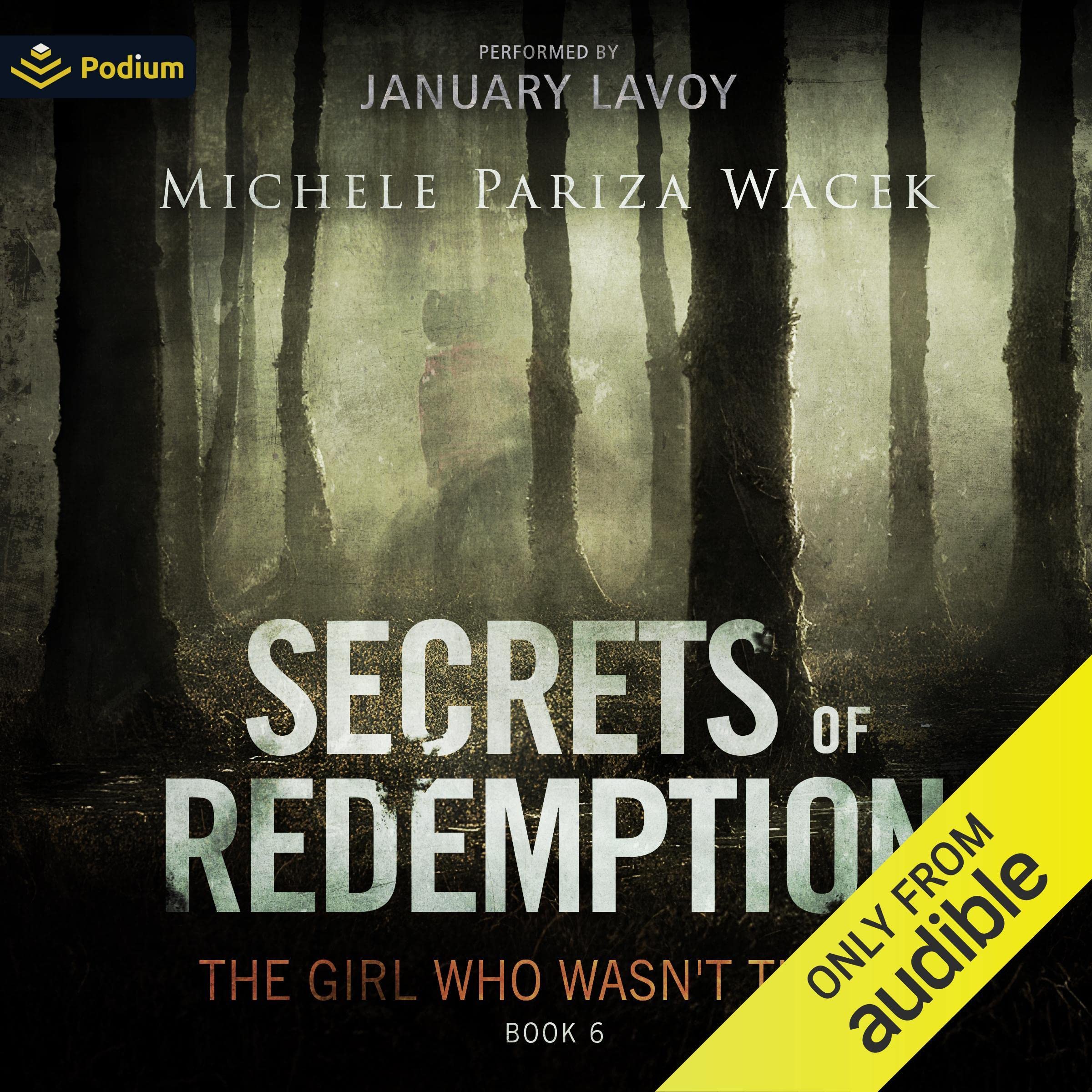 The Girl Who Wasn't There